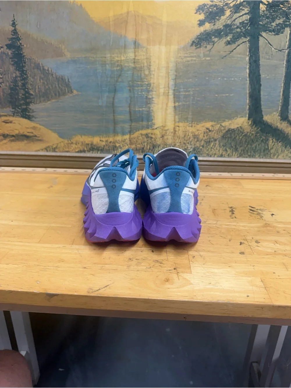 Saucony Endorphin Pro 4 White, Purple & Blue running Sneakers women’s size 9.5